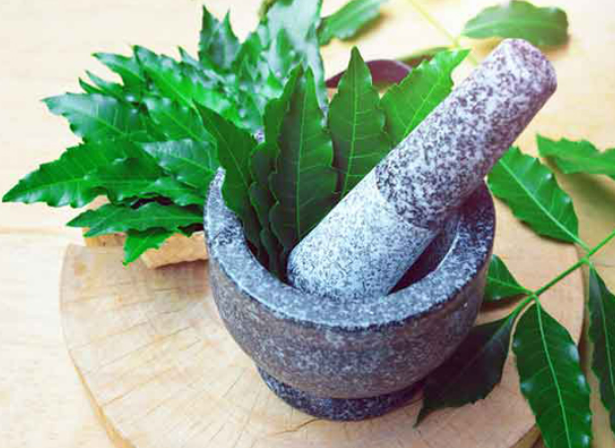 নিমপাতার ১৫টি উপকারিতা