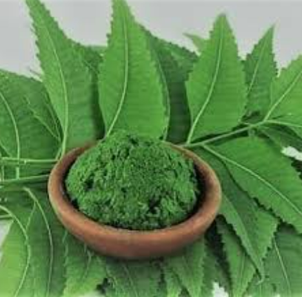 নিমপাতার ১৫টি উপকারিতা