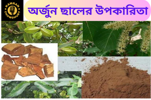 অর্জুন ছালের উপকারিতা