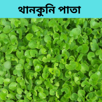 থানকুনি পাতার উপকারিতা