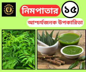 নিমপাতার ১৫টি উপকারিতা