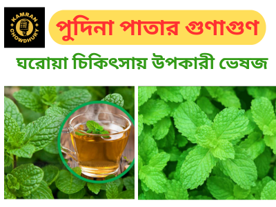 পুদিনা পাতার গুণাগুণও ঘরোয়া চিকিৎসা